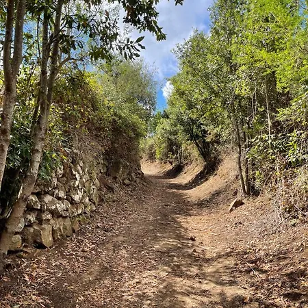 Monte Del Agua House * Erjos-El Tanque