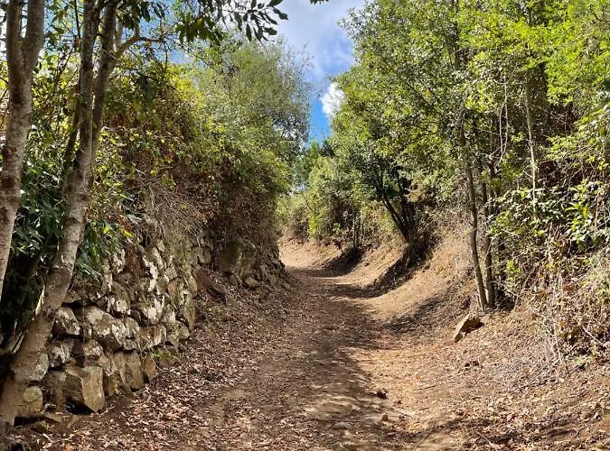 Monte Del Agua House * Erjos-El Tanque